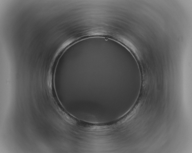 X0000112911179200908241200