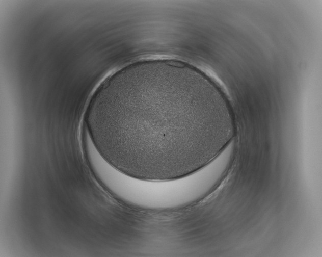 X0000112911181200908241200