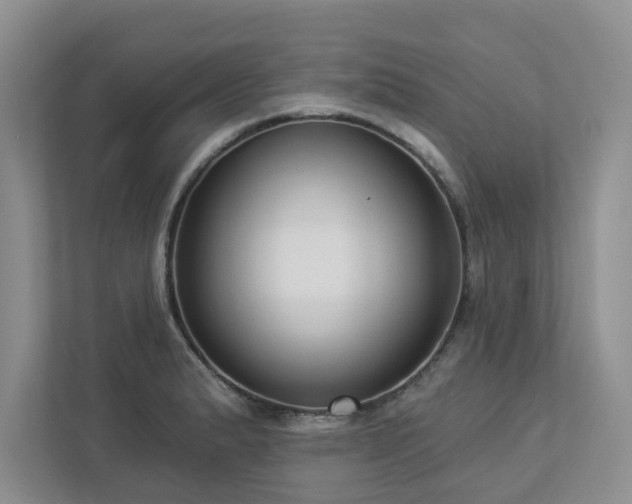 X0000112911183200908241200
