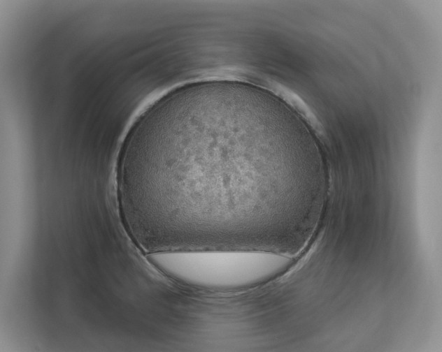 X0000112911184200908241159