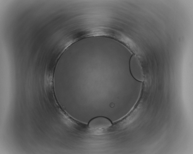 X0000112911185200908241159