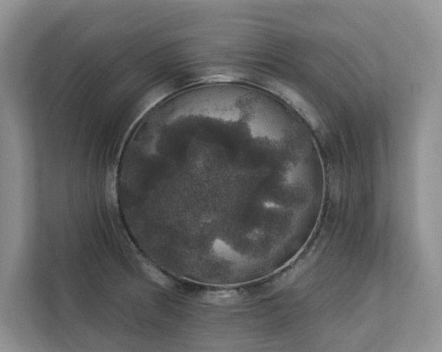 X0000112911186200908241159