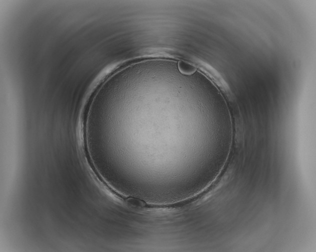 X0000112911188200908241159