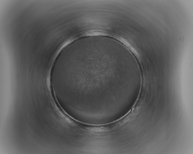 X0000112911189200908241159