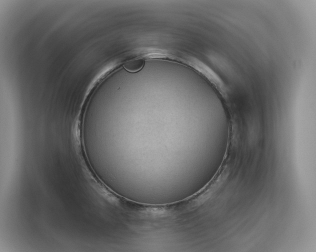 X0000112911190200908241159
