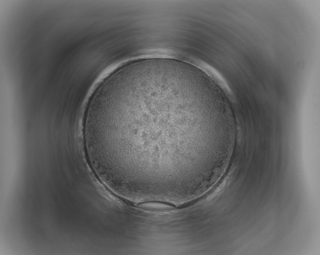 X0000112911192200908241159
