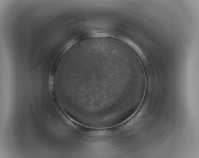 X0000112911193200908241159