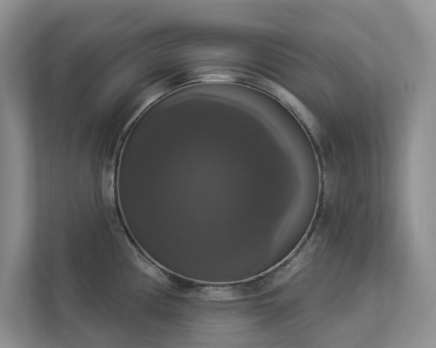 X0000112911194200908241159