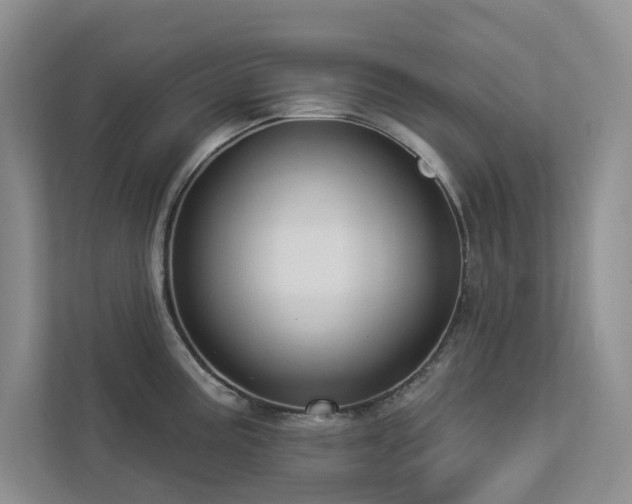 X0000112911195200908241159