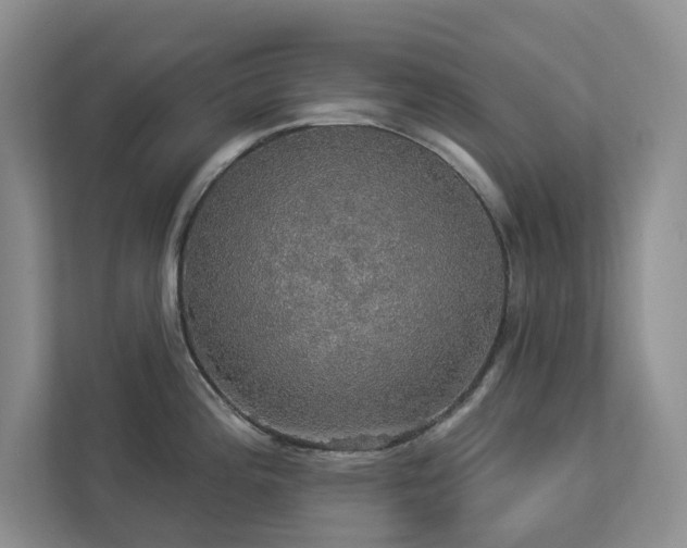 X0000112911196200908241159