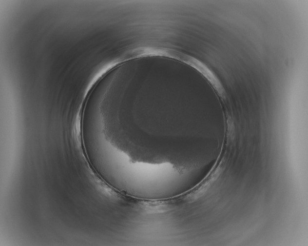 X0000112911198200908241159