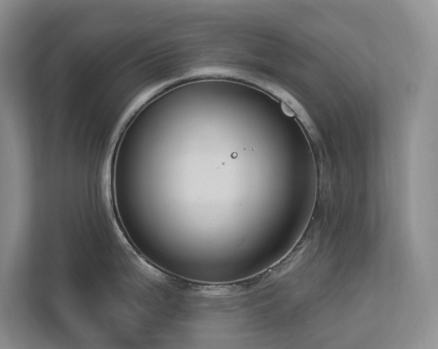 X0000112911199200908241159