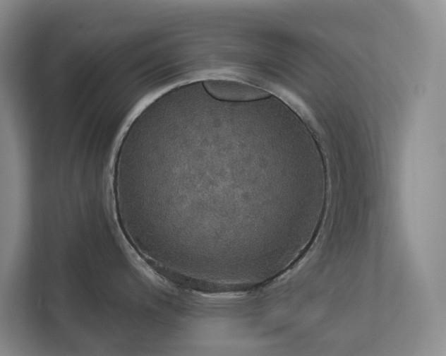 X0000112911200200908241159
