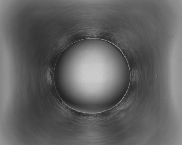 X0000112911202200908241159