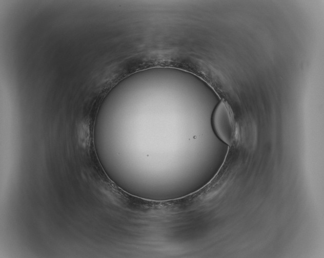 X0000112911203200908241159