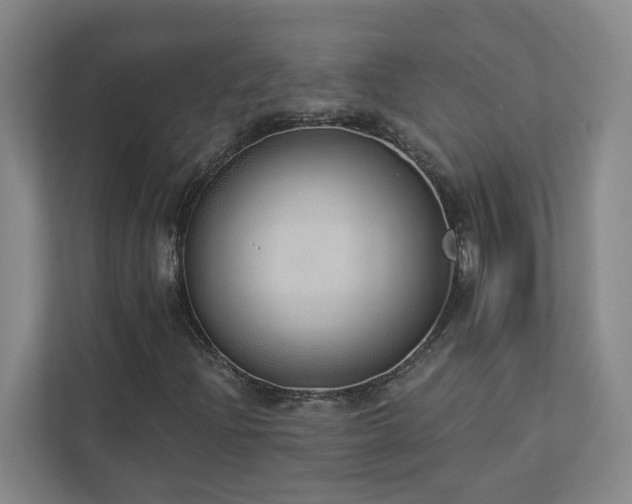 X0000112911204200908241159