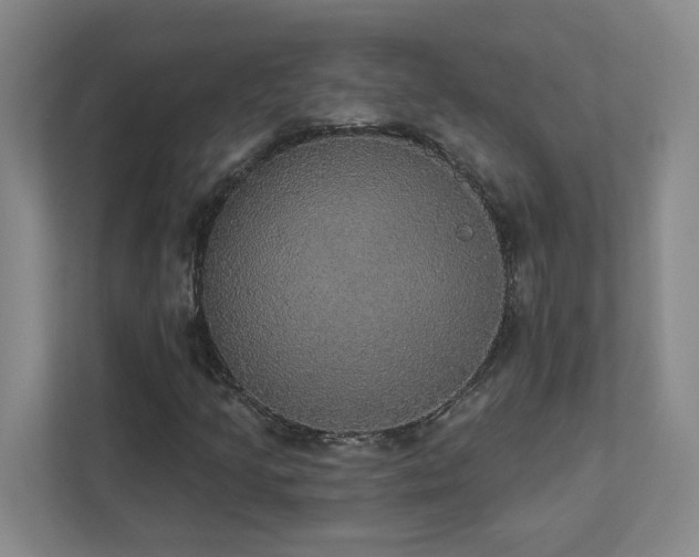 X0000112911205200908241159