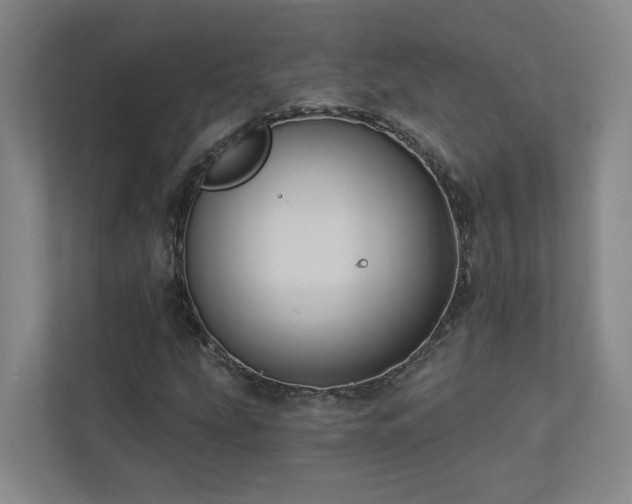 X0000112911207200908241159