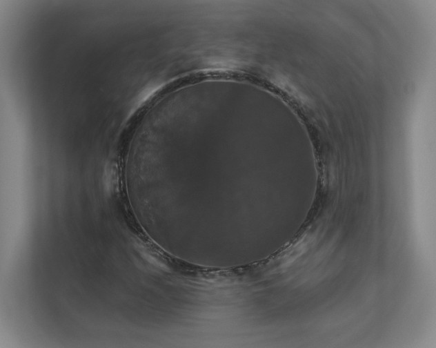X0000112911208200908241159