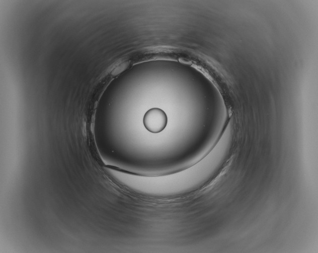 X0000112911209200908241159