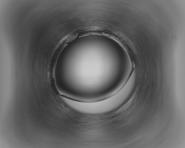 X0000112911210200908241159