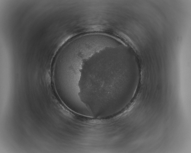 X0000112911212200908241159
