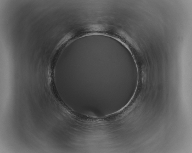 X0000112911213200908241159