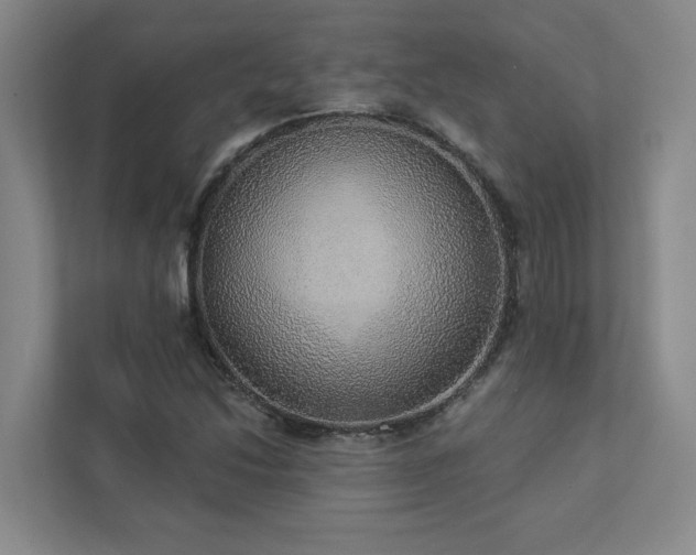 X0000112911214200908241159