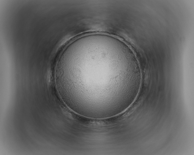 X0000112911215200908241159