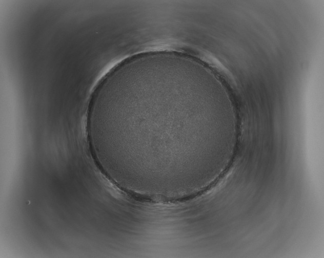 X0000112911216200908241159
