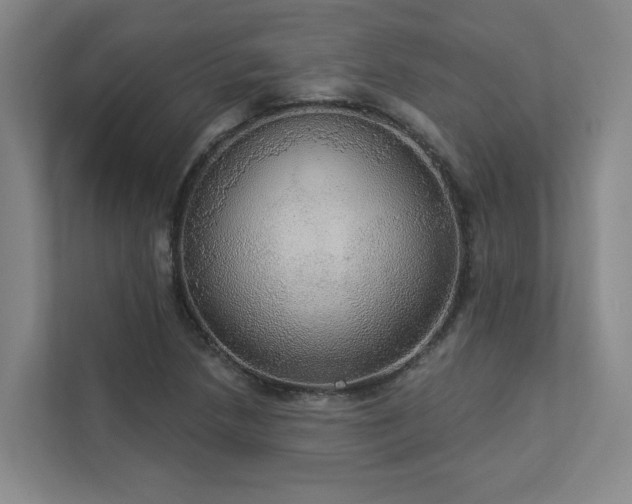 X0000112911218200908241159