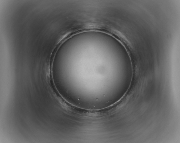 X0000112911220200908241159