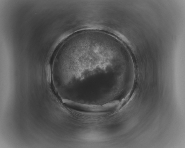 X0000112911223200908241159
