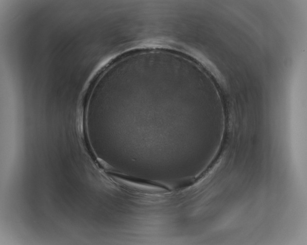 X0000112911224200908241159