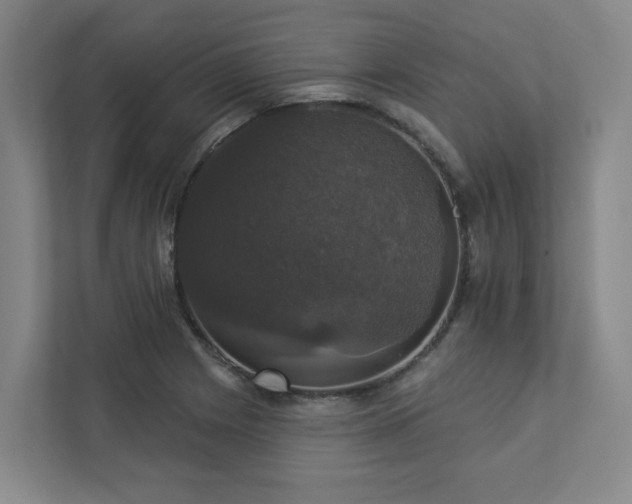 X0000112911225200908241159