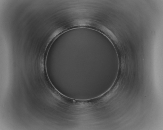 X0000112911226200908241159