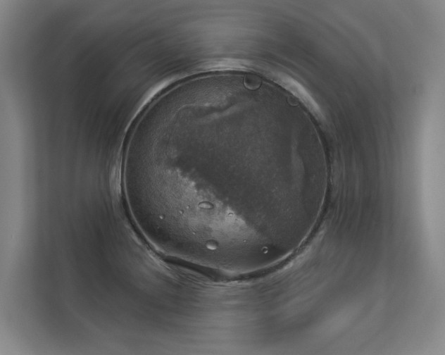 X0000112911228200908241159