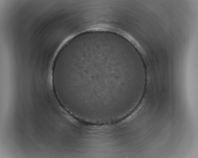 X0000112911232200908241159
