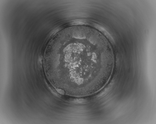 X0000112911233200908241159