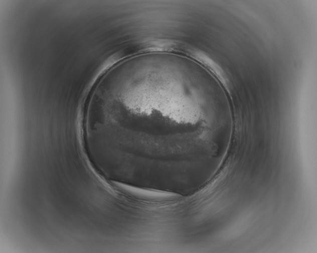 X0000112911235200908241159