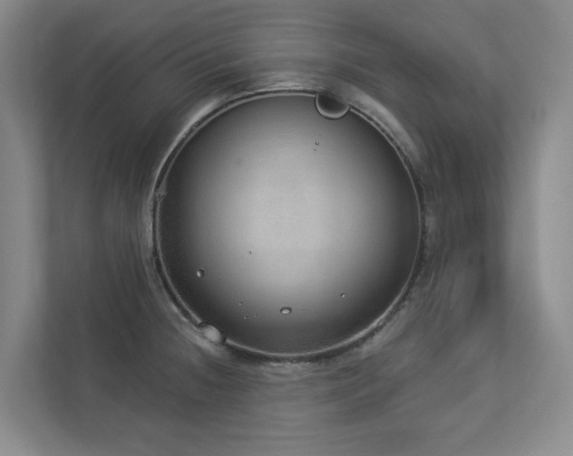 X0000112911236200908241159