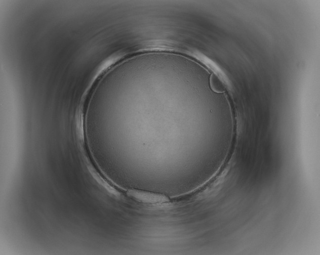 X0000112911238200908241159