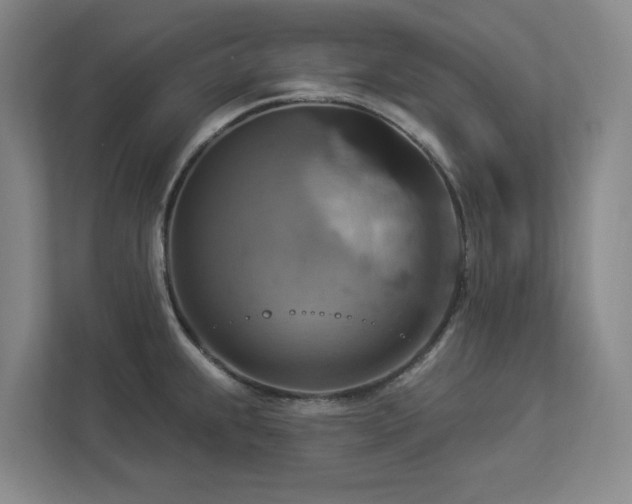 X0000112911239200908241159