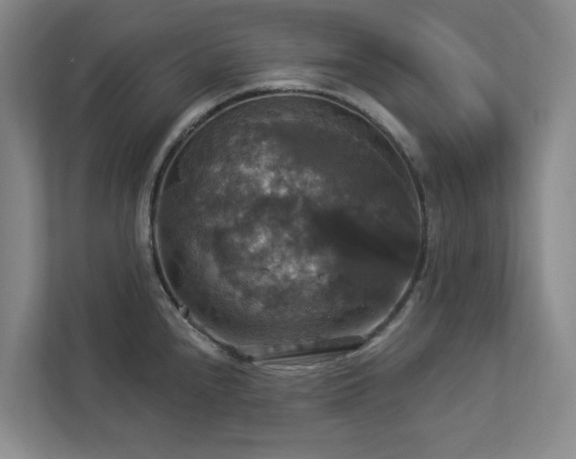 X0000112911240200908241159