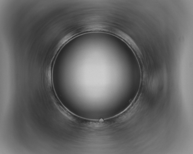 X0000112911242200908241159