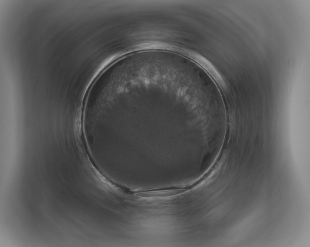 X0000112911244200908241159