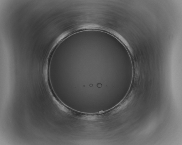 X0000112911245200908241159
