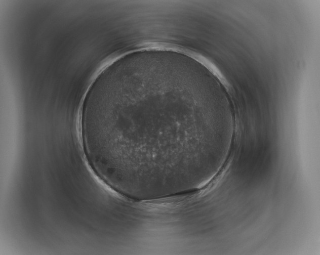 X0000112911247200908241159