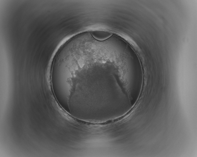 X0000112911248200908241159