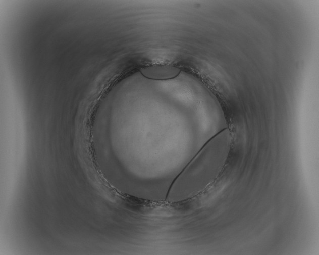 X0000112911249200908241159